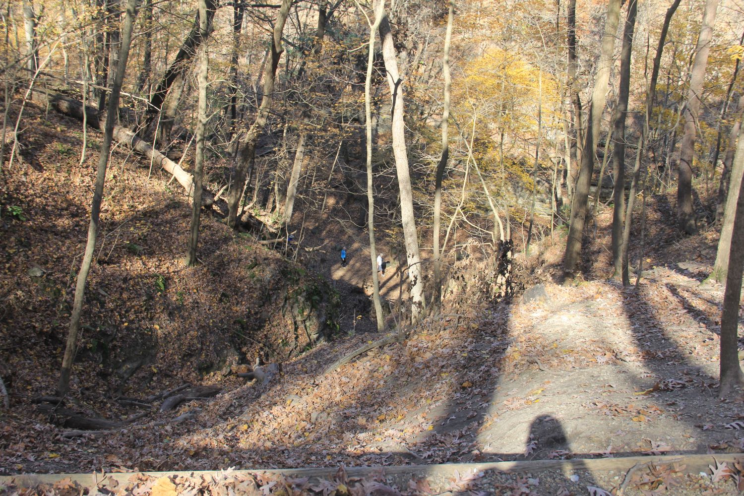 Matthiessen 